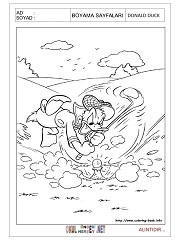 Donald Duck boyama sayfaları